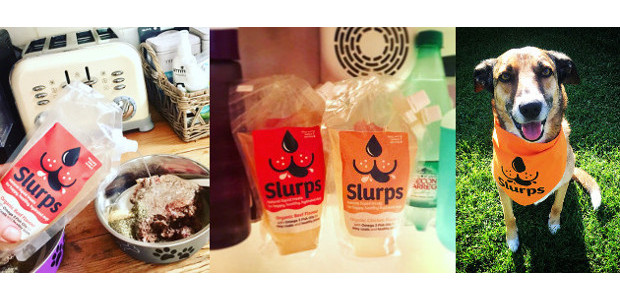   Does your dog need…hair of the dog? www.slurps4pets.co.uk INSTAGRAM | […]
