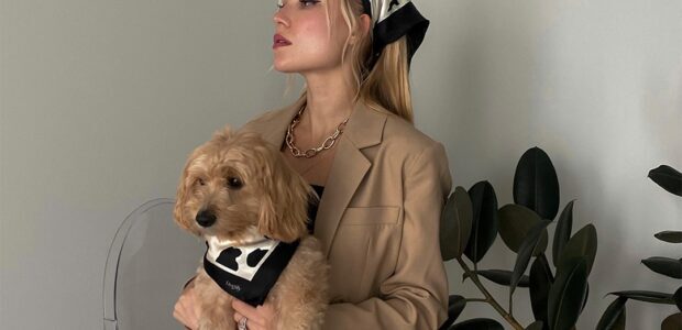 Dogily Luxe Scarves… the pet owner matching accessory brand… dogily.com […]
