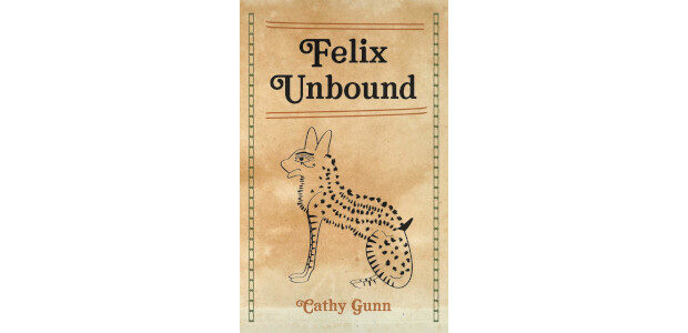 Felix Unbound Paperback by Cathy Gunn See more & buy […]